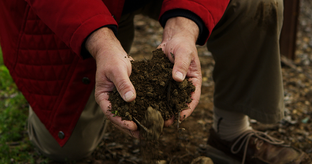 close up of hands holding soil